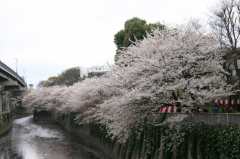 ���ӊ��@���s�S�̗��֐��ƗΖL���Ŏl�G�������邱�Ƃ̂ł���Z���̗�����