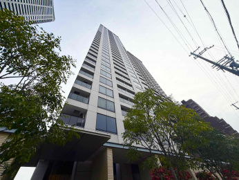 ���n�O�ώʐ^�@2012�N8�����z�A36�K���Đ��k�\���̃^���[�}���V�����ł���