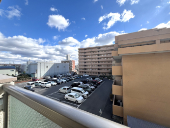 �Z�˂���̒��]�ʐ^�@-