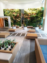 ���r�[�@���������̂��郍�r�[�X�y�[�X��