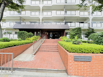 �G���g�����X�@-