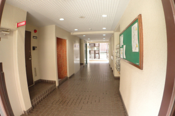 ���̑����p���@-