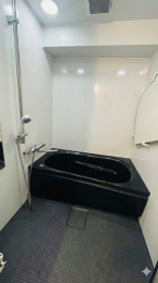 �����@������̔�������o�X�^�C��!! ���傫�ȗ����ł�����芰���܂� �y���ƍ��P����̃C���[�W�ʐ^�ł��z