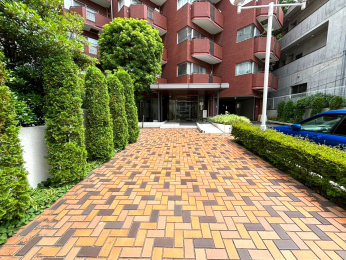 �G���g�����X�@-