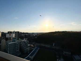 �Z�˂���̒��]�ʐ^�@�o���R�j�[����̒��]�I�O�ʂɌ������Ȃ��ׁA������̂���i�F�����y���݂��������܂���