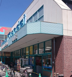 ���ӊ��@�X�[�p�[����@�c���X