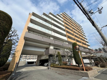 ���n�O�ώʐ^�@���ː�80�˂̃}���V������