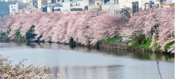 ���ӊ��@���O������