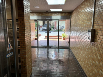 ���̑����p���@�����p��������ꂪ�s���͂��Ă��܂�