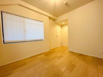 ���r���O�ȊO�̋����@-