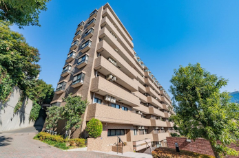 ���n�O�ώʐ^�@�S���S�؃R���N���[�g�E�S�؃R���N���[�g�� 86�� 