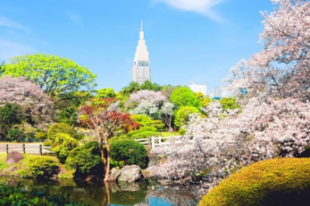 ���ӊ��@���ΖL���ȐV�h�䉑�܂ł��k��������