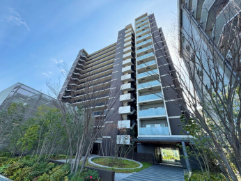 ���n�O�ώʐ^�@�A�͂ɍʂ�ꂽ�d�����̂���G���g�����X�I