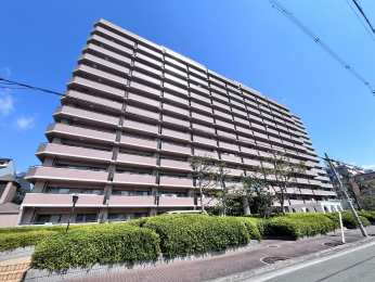 ���n�O�ώʐ^�@���ː�127�˂̃r�b�O�R�~���j�e�B�}���V�����ł���