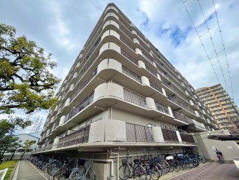 ���n�O�ώʐ^�@���ː�100�˂̃}���V�����ł���