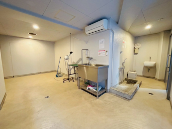 ���̑����p���@�O���[�~���O���[��