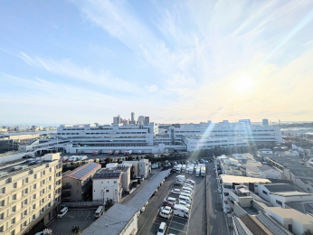 �Z�˂���̒��]�ʐ^�@�������]�ł��B