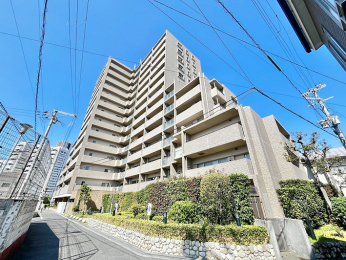 ���n�O�ώʐ^�@�΂̐A�͂��f����x�[�W���̃^�C���ɕ�܂ꂽ�O�ρ�