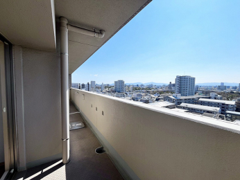 �o���R�j�[�@���R�j�[����̒���!�I�O�ʂɍ��������������A���]�ǍD�ł��I