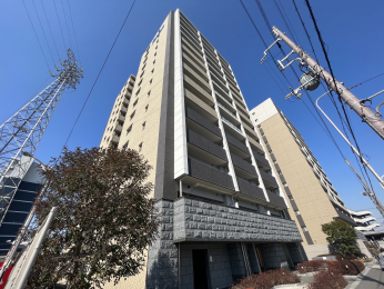 ���n�O�ώʐ^�@2016�N5���z