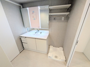 ���ʑ�E���ʏ��@�傫�Ȑ��ʉ��ϑ��V�����܂����B�L������ƃL�b�`�������2way�̏o�������݂��Ă���܂��̂ŉƎ������₷���ł����