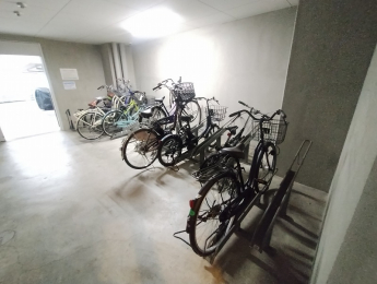 ���̑����p���@�����t���̒��֏�ŉJ�V�������S