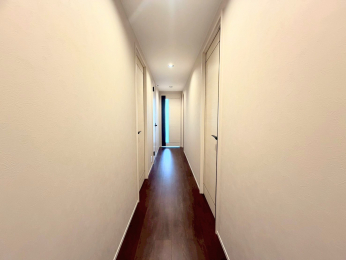 ���̑����ρ@�L���ł��B�_�E�����C�g��V�����Ă��܂��̂Ŗ��邢�ł����