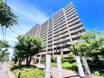 ���n�O�ώʐ^�@�����������������ȊO��