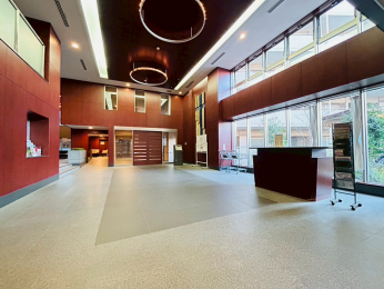 �G���g�����X�@-