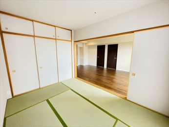 ���r���O�ȊO�̋����@-