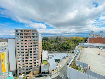 �Z�˂���̒��]�ʐ^�@-