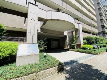 �G���g�����X�@�΂̊������闎���������G���g�����X�ł�