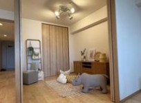 ���r���O�ȊO�̋����@-