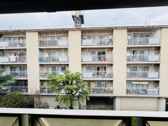 �Z�˂���̒��]�ʐ^�@-