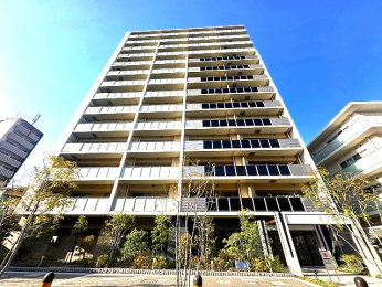 ���n�O�ώʐ^�@2019�N1�����z