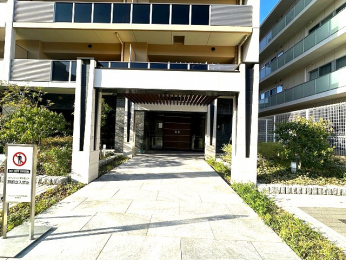 �G���g�����X�@-