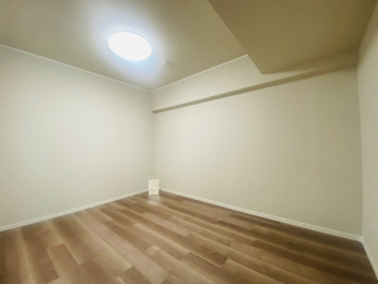 ���r���O�ȊO�̋����@-