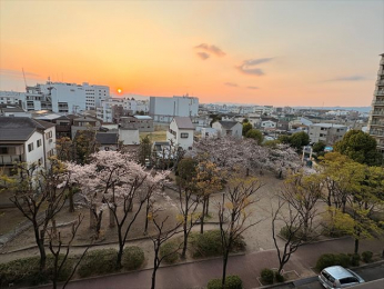 �Z�˂���̒��]�ʐ^�@���t�ɂȂ���Y��ɍ����炫�G�ߊ��𖡂킦�܂�!!