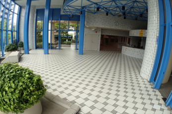 �G���g�����X�@���J���t���Ŗ��邢�G���g�����X���ςł�