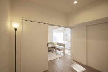 ���r���O�ȊO�̋����@-