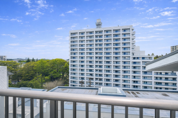 �Z�˂���̒��]�ʐ^�@-