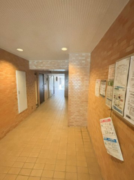 ���̑����p���@-