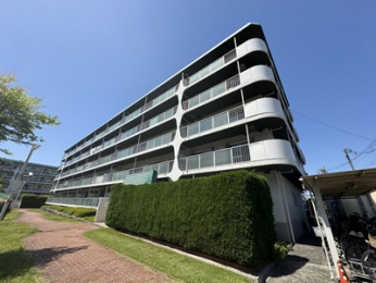 �G���g�����X�@���킢�炵���ΐF�̉������ڈ�̃G���g�����X