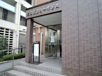 �G���g�����X�@-