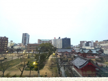 �Z�˂���̒��]�ʐ^�@-