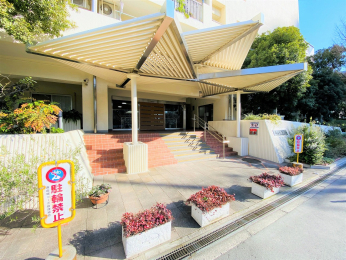 �G���g�����X�@-