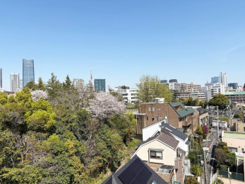 �Z�˂���̒��]�ʐ^�@-