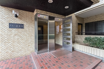 �G���g�����X�@-