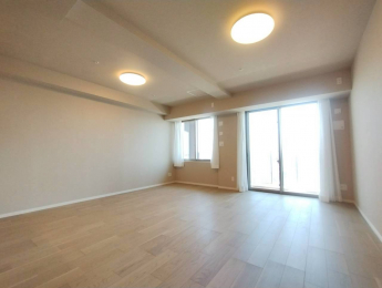 ���r���O�ȊO�̋����@-