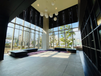 ���r�[�@���邢���̂������ށA�L�X�Ƃ����G���g�����X���r�[�I